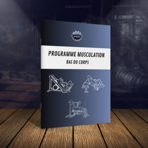 Programme de Musculation - Bas du corps